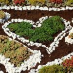 Umowa najmu mieszkania – kluczowe informacje